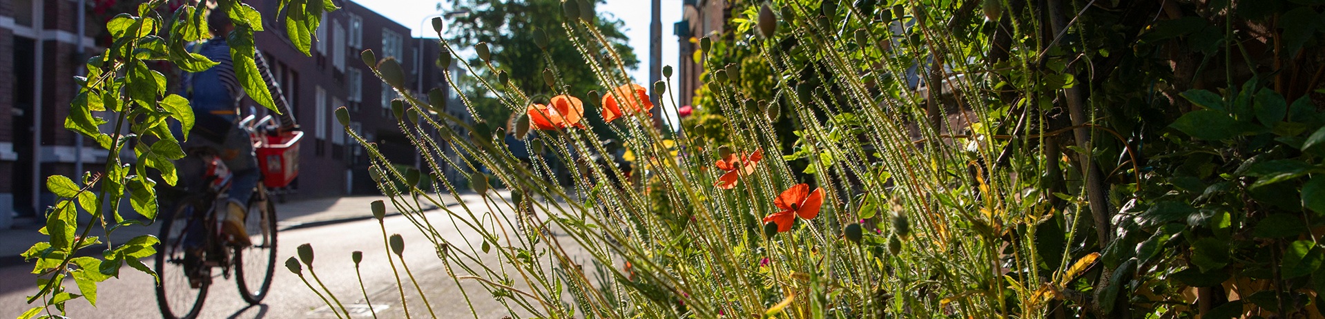 Trouwlocaties - Gemeente Tilburg foto 1