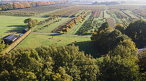 Foto: Gerdien Wolthaus - Pauw