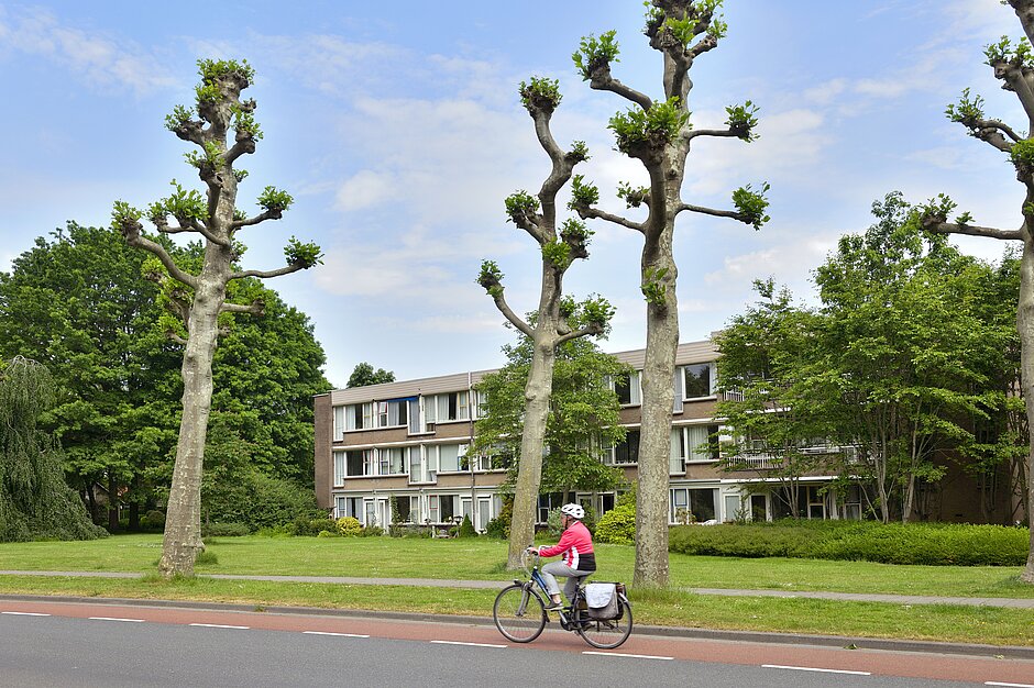Torentjeshoef in Berkel-Enschot