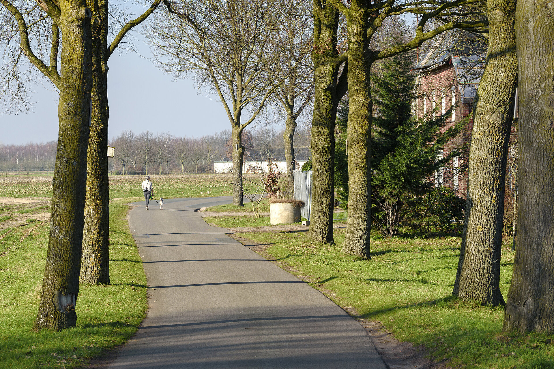 Een stuk groen in Buitengebied Zuidwest