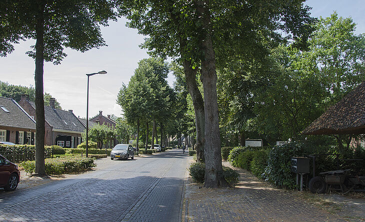 Straatbeeld in Udenhout