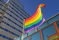 De regenboogvlag voor een kantoor