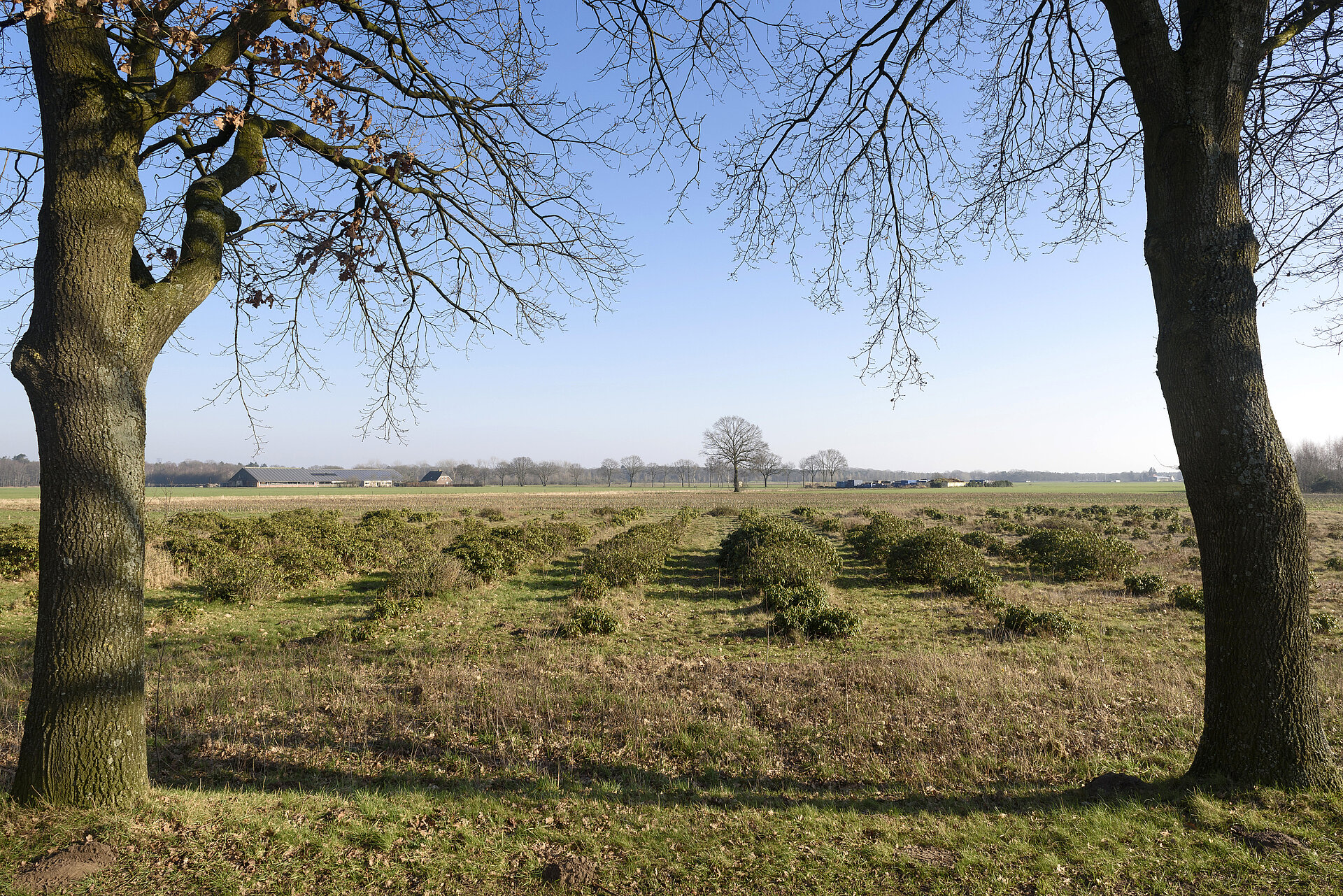 Groen in het Buitengebied Zuidwest