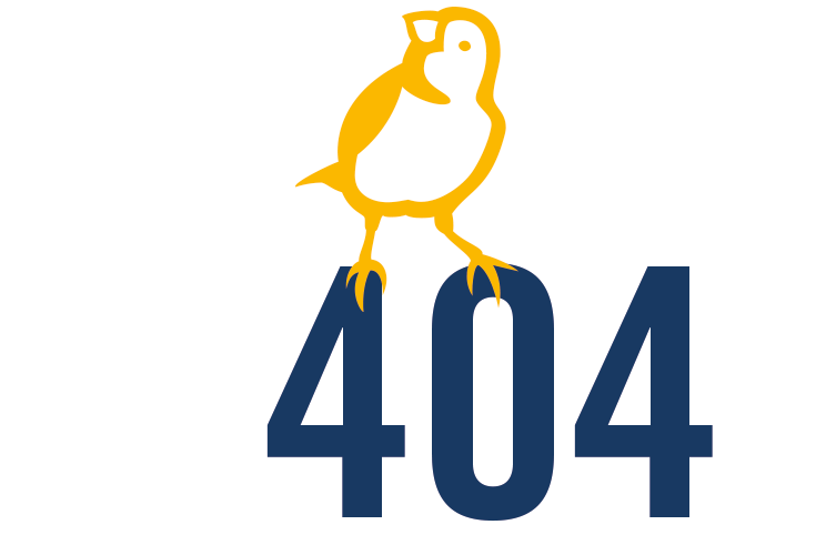 Knorrie geland op de tekst '404'.