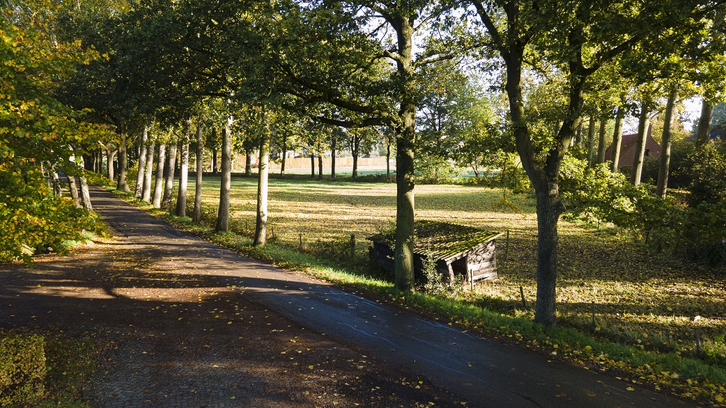 Natuur in de Oostflank