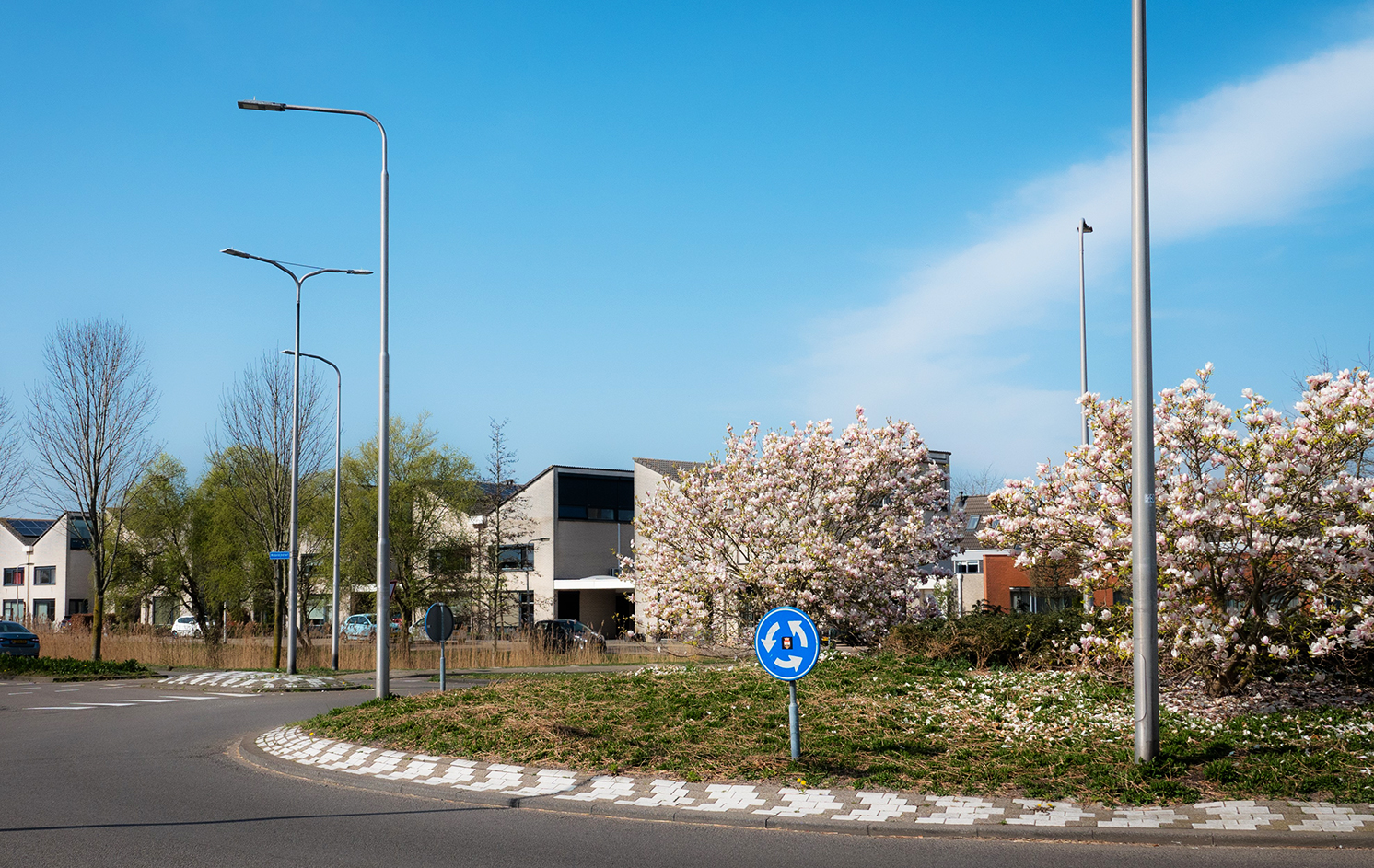 Een schone, groene en veilige Reeshof