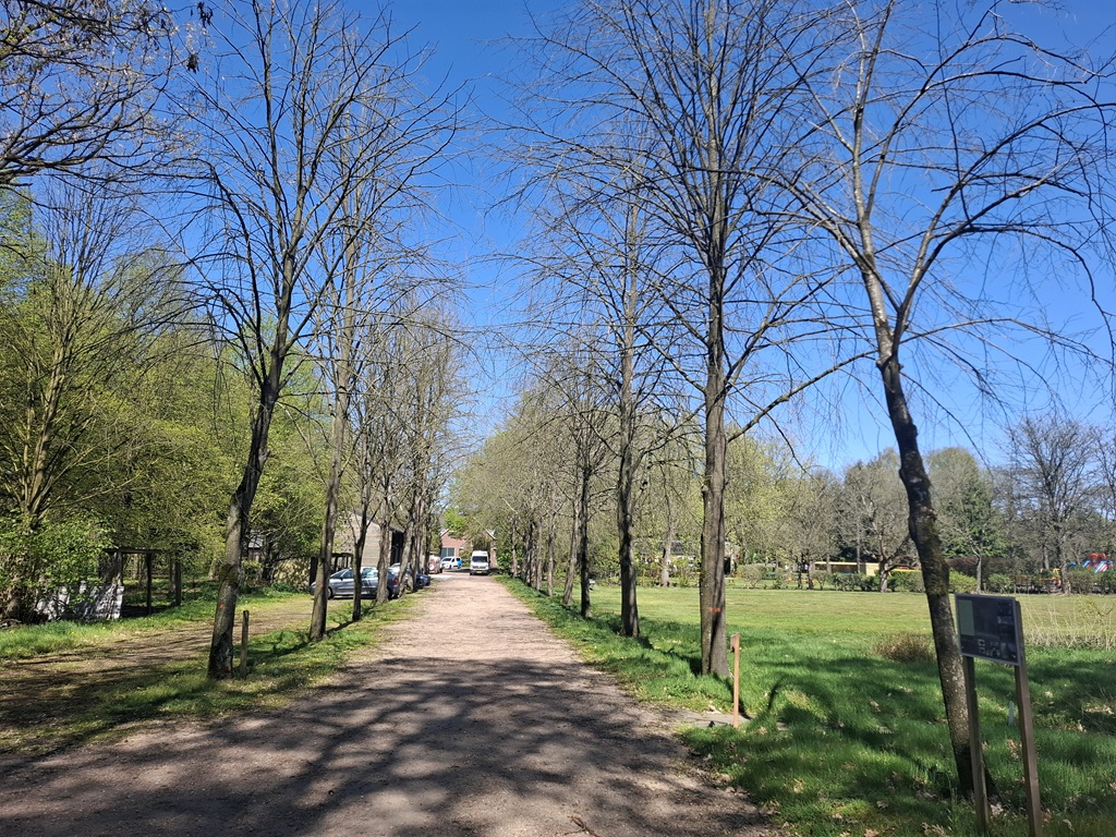 Zicht op de bomenrij op Landgoed Sparrenhof