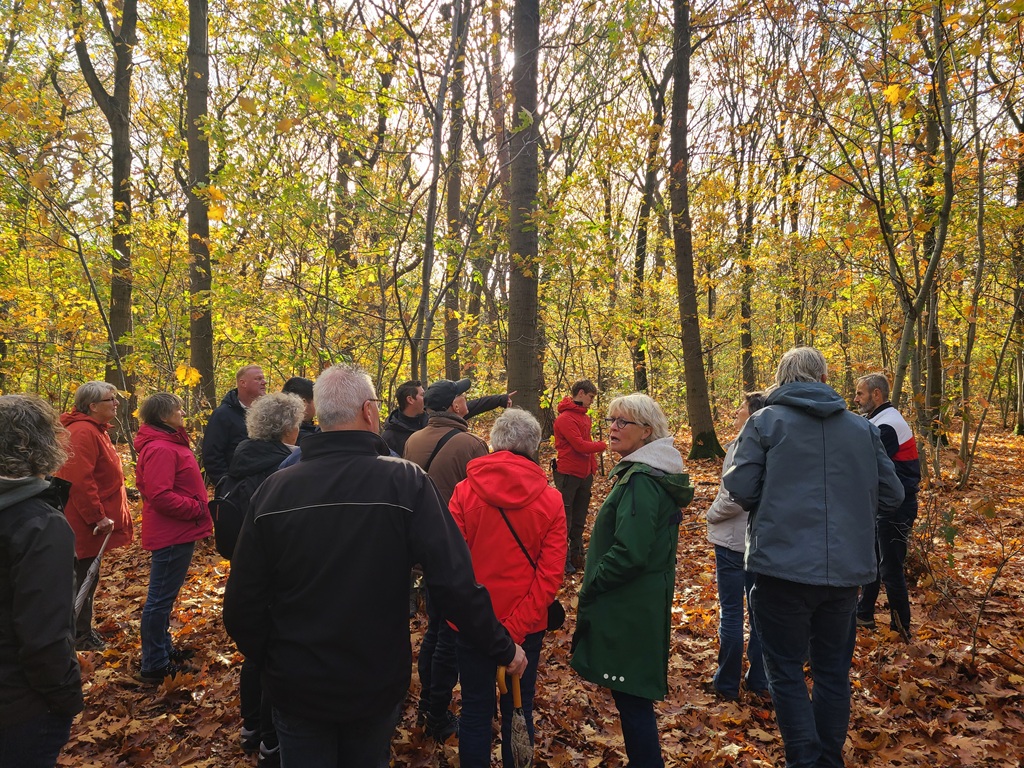 Wandelen in het bos en een toelichting krijgen over de bomen die er staan en hoe de conditie van die bomen is